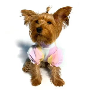 Blue Stars Sweater Barbie Para Perros