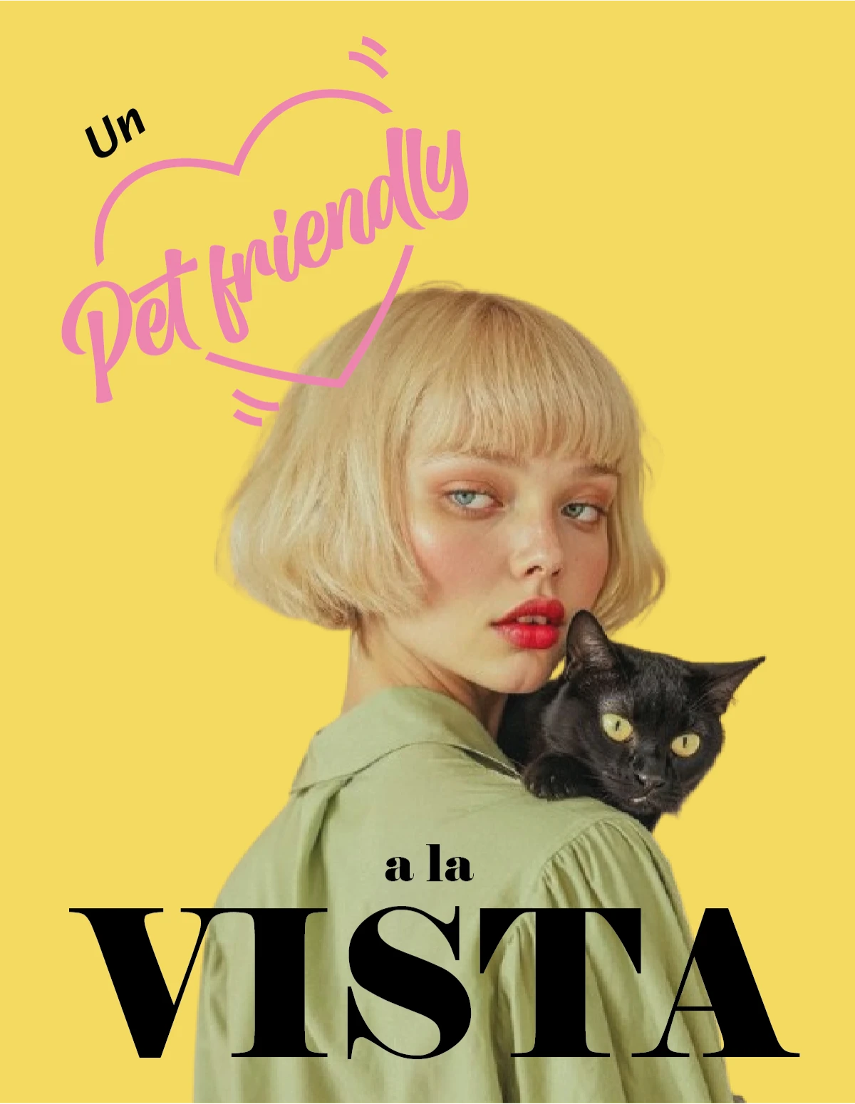 Pelusas Y Estambres Pet Friendly