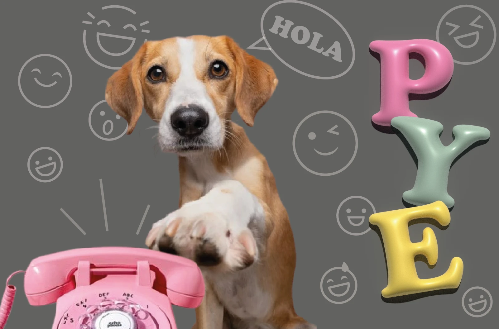 Pye Banner 02